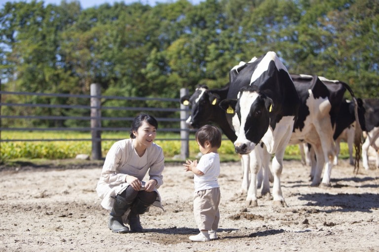 熊本,熊本市,一戸建て,新築,新築一戸建て,分譲住宅,自然のなかで子育てがしたいなら緑溢れる阿蘇市