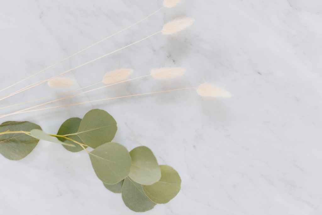 kaboompics_Dried flowers and eucalyptus on white marble